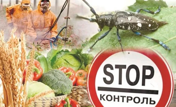 WhatsApp Image 2026-02-05 at 11.11.28.jpeg