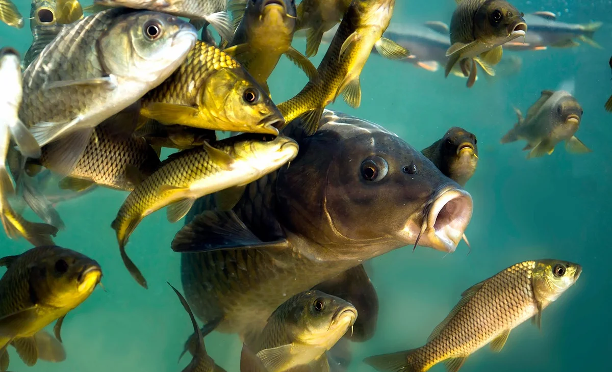 WhatsApp Image 2026-01-21 at 10.09.38.jpeg