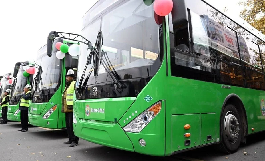 WhatsApp Image 2026-02-20 at 10.14.50.jpeg