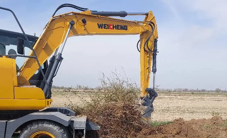 WhatsApp Image 2026-04-06 at 19.11.46.jpeg