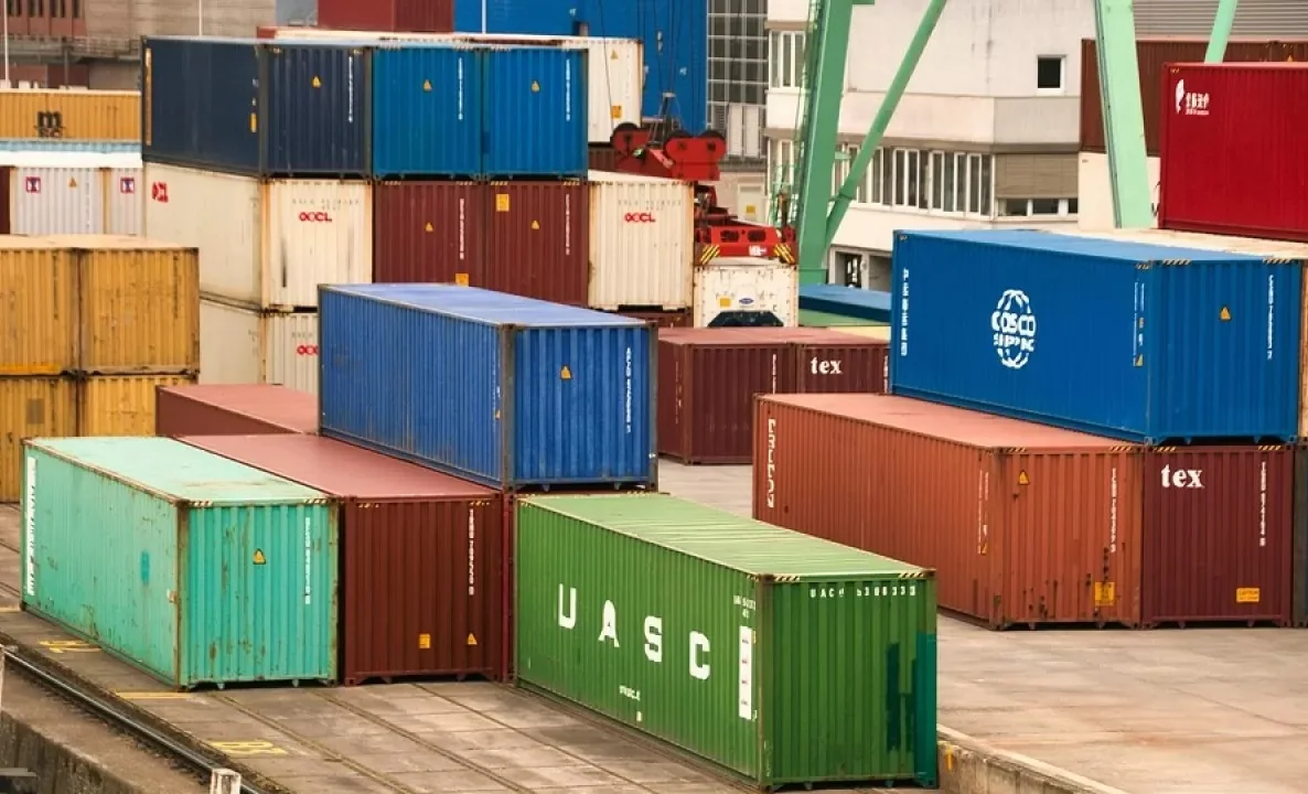 WhatsApp Image 2026-01-21 at 17.25.10.jpeg