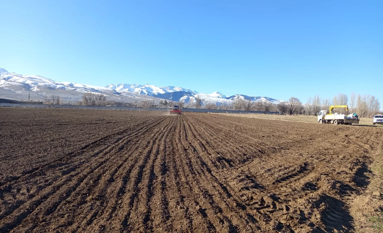 WhatsApp Image 2026-03-31 at 10.40.30.jpeg