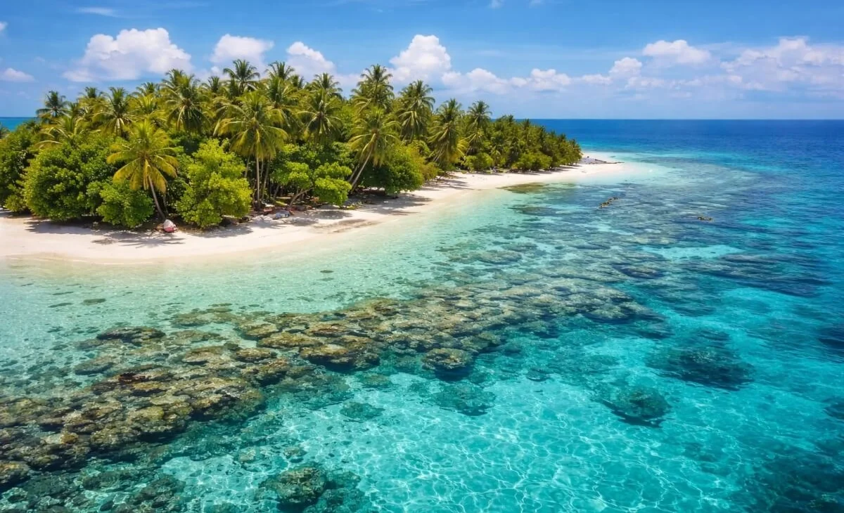 WhatsApp Image 2026-04-10 at 14.03.21.jpeg