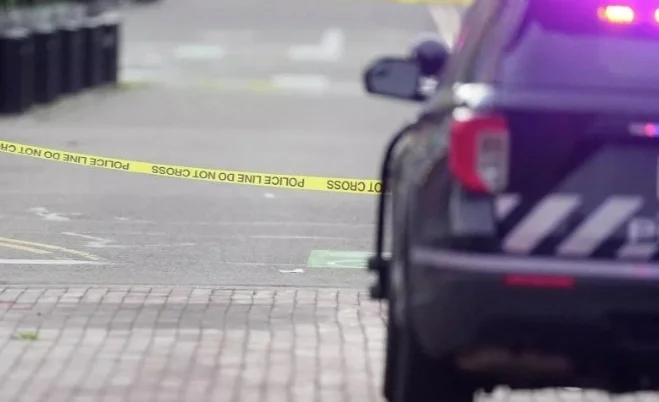 WhatsApp Image 2026-04-19 at 16.42.29.jpeg