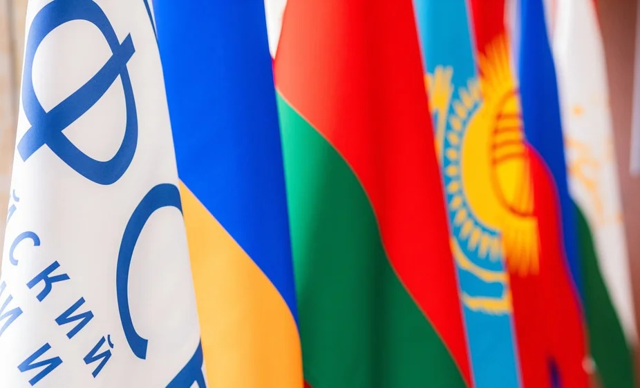 WhatsApp Image 2026-04-29 at 11.55.45.jpeg