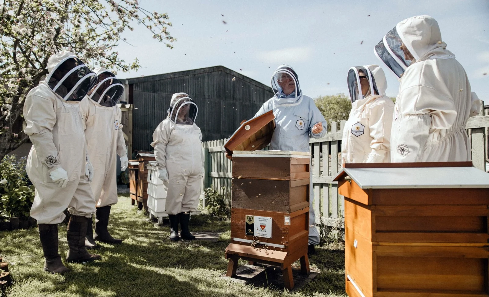 WhatsApp Image 2026-02-08 at 16.59.15.jpeg