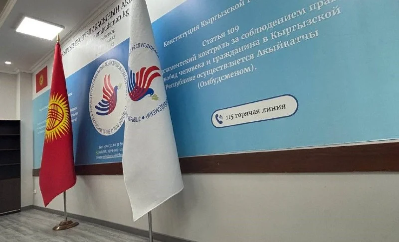 WhatsApp Image 2026-02-10 at 11.41.04.jpeg