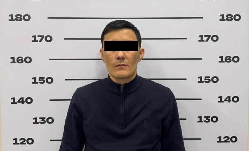 WhatsApp Image 2026-02-10 at 07.27.11.jpeg