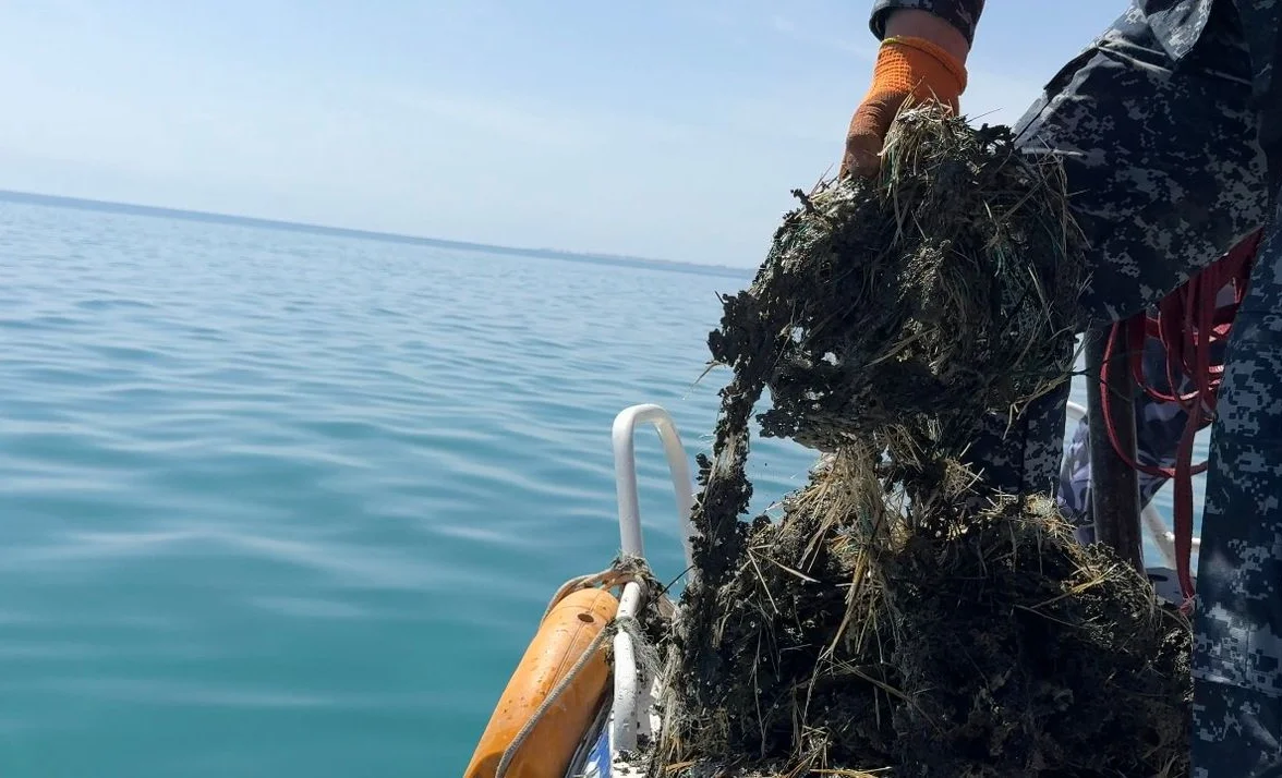 WhatsApp Image 2026-04-08 at 17.47.18 (1).jpeg