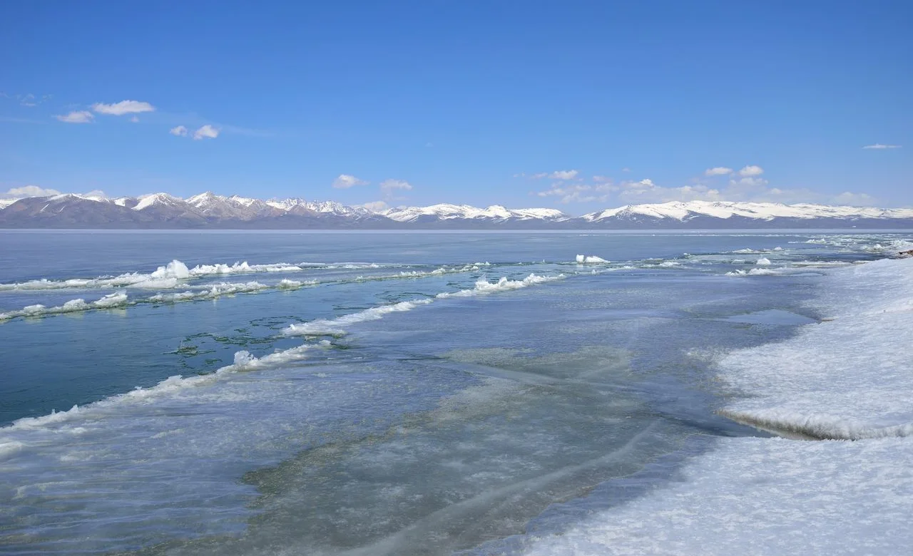 WhatsApp Image 2026-03-03 at 15.32.24.jpeg