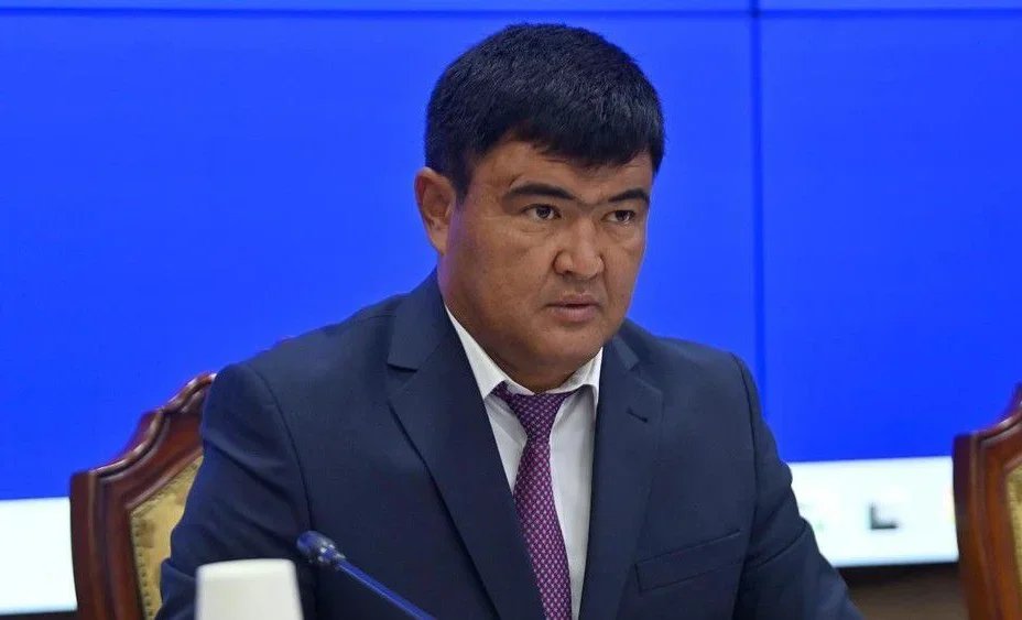 WhatsApp_Image_2026_7uiVZcs.2e16d0ba.format-webp.fill-1668x1014 (1).webp