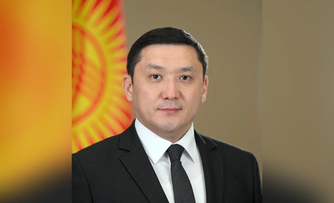 WhatsApp Image 2026-02-12 at 14.37.42.jpeg