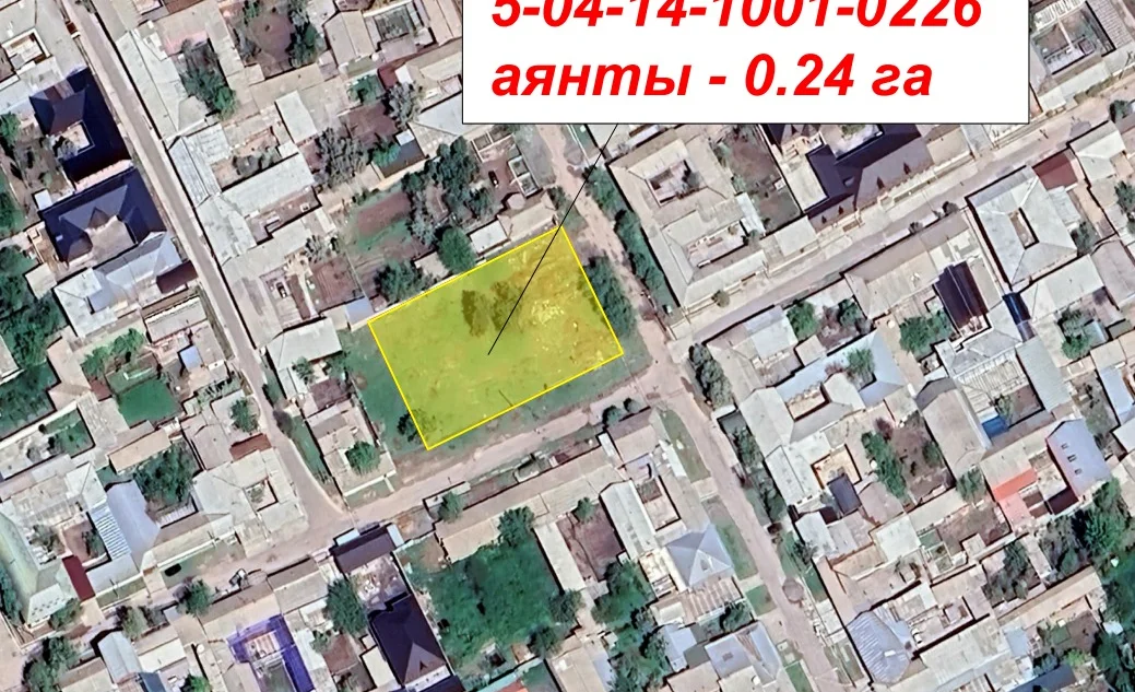 WhatsApp Image 2026-02-06 at 12.37.24.jpeg