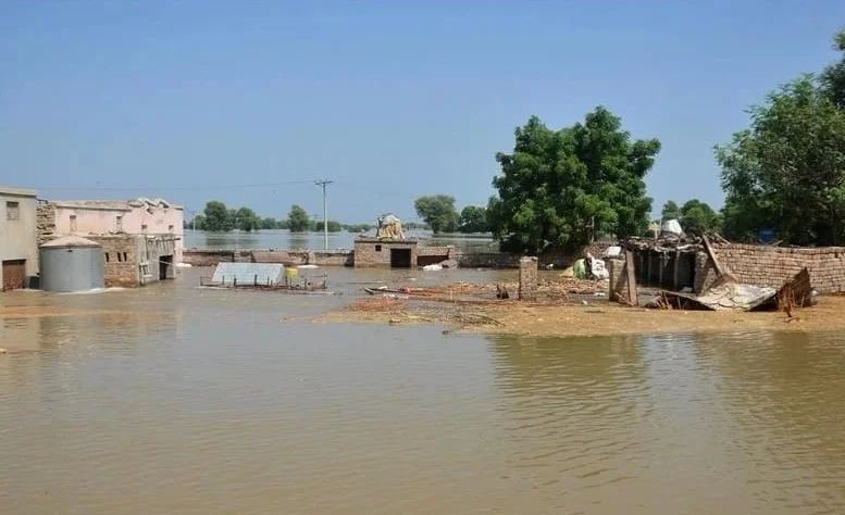 WhatsApp Image 2026-04-01 at 09.09.04.jpeg