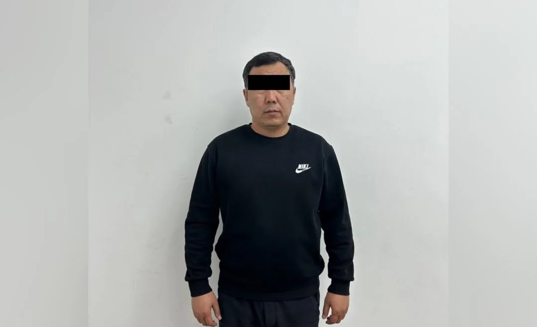 WhatsApp Image 2026-02-08 at 17.10.27 (1).jpeg