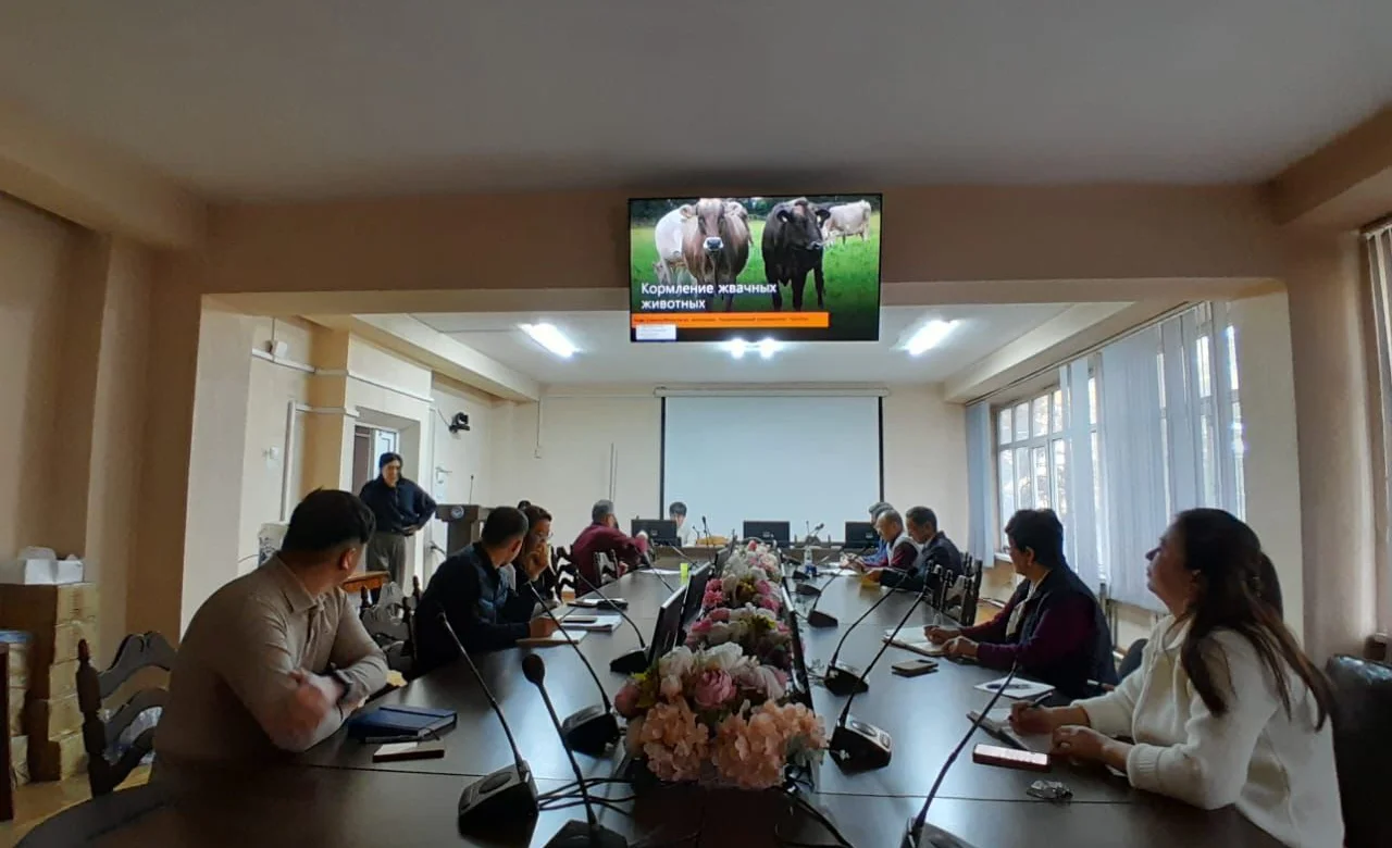 WhatsApp Image 2026-01-15 at 10.50.37.jpeg