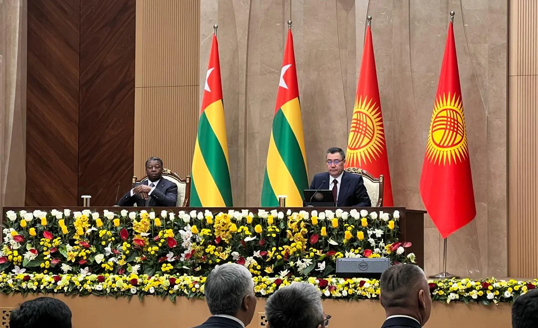 WhatsApp Image 2026-04-29 at 11.50.36.jpeg