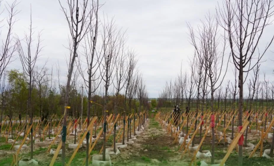 WhatsApp Image 2026-04-07 at 10.26.37.jpeg