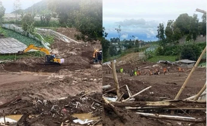 WhatsApp Image 2026-02-01 at 15.38.16.jpeg