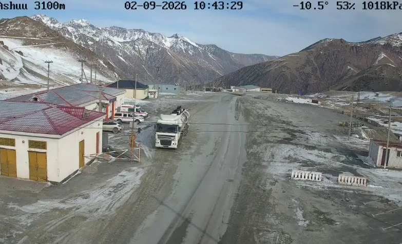 WhatsApp Image 2026-02-08 at 17.15.57.jpeg