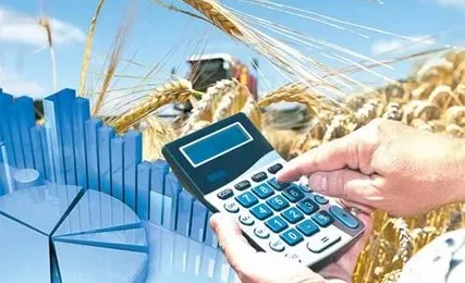 WhatsApp Image 2026-02-05 at 11.08.57.jpeg