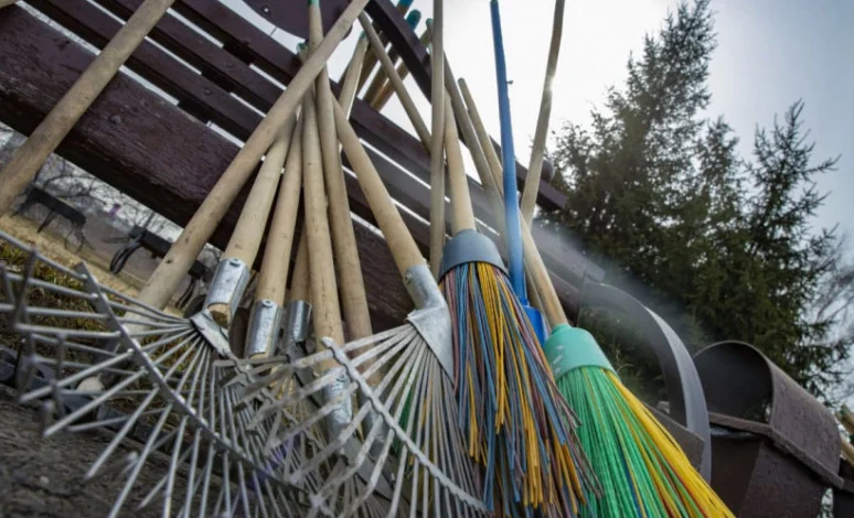 WhatsApp Image 2026-03-10 at 08.57.51.jpeg