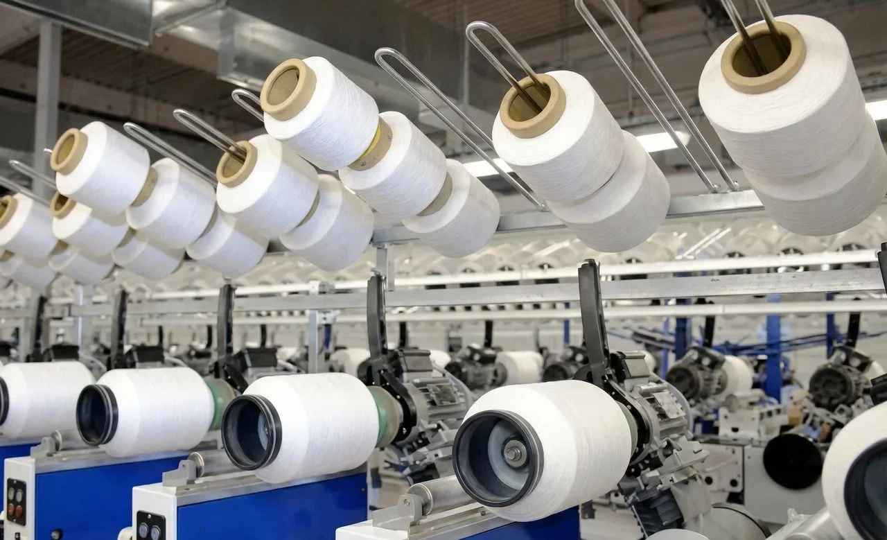 WhatsApp Image 2026-02-24 at 14.27.24.jpeg