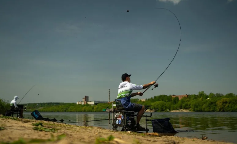 WhatsApp Image 2026-03-11 at 09.27.33.jpeg