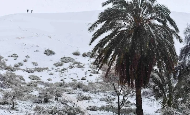 WhatsApp Image 2026-03-13 at 00.15.31.jpeg