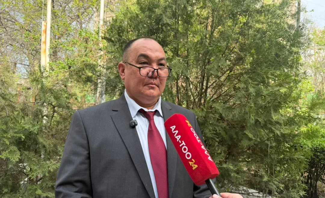 WhatsApp Image 2026-04-03 at 17.33.24.jpeg