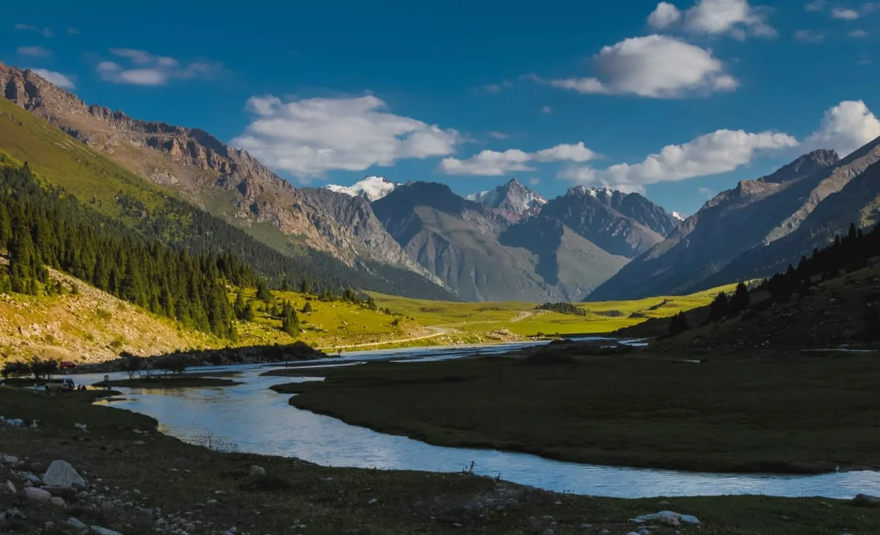 WhatsApp Image 2026-03-16 at 16.00.44.jpeg