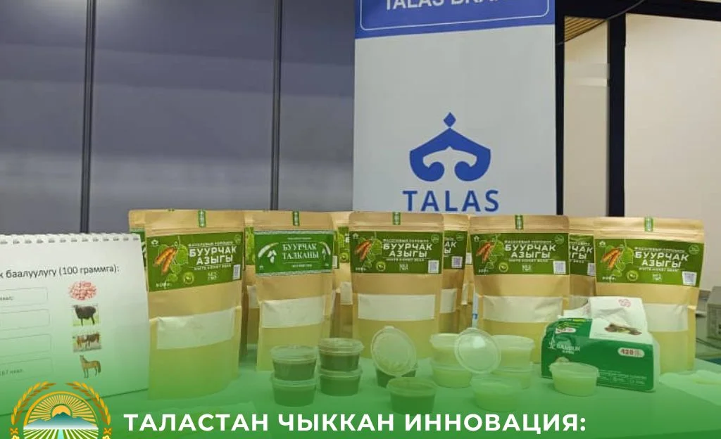 WhatsApp Image 2026-01-23 at 10.09.59.jpeg