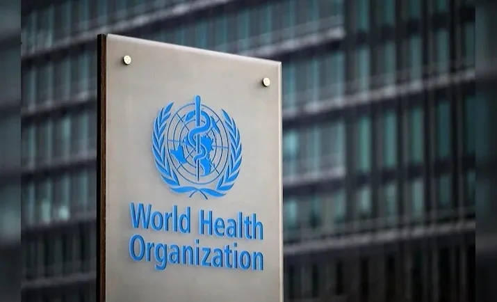 WhatsApp Image 2026-01-22 at 20.15.51.jpeg