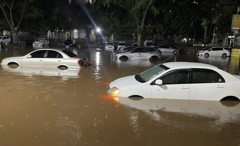 WhatsApp Image 2026-03-17 at 15.33.45.jpeg