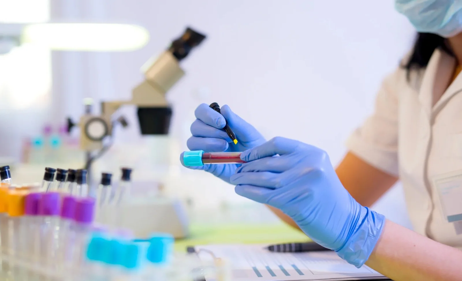 WhatsApp Image 2026-04-24 at 14.55.10.jpeg