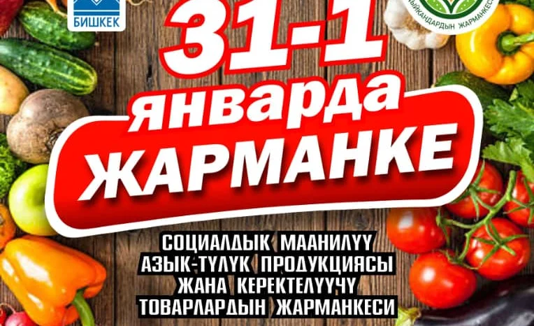 WhatsApp Image 2026-01-29 at 18.00.53.jpeg