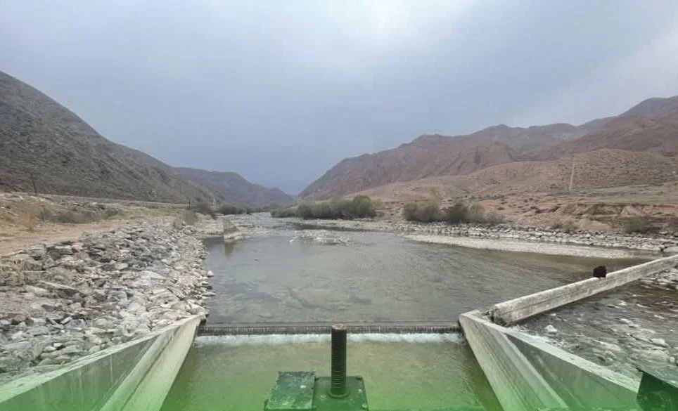 WhatsApp Image 2026-03-05 at 13.56.07.jpeg