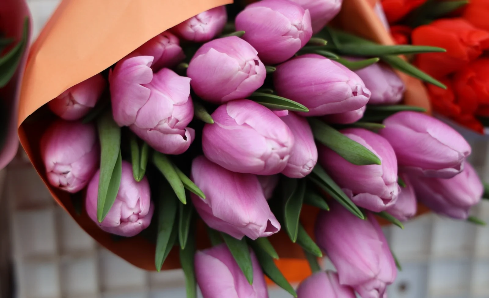 WhatsApp Image 2026-03-02 at 14.03.35.jpeg