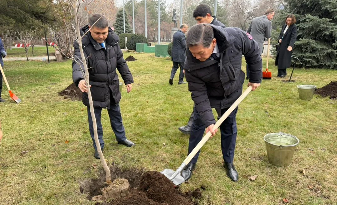 WhatsApp Image 2026-03-04 at 17.52.23.jpeg