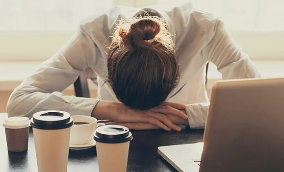 WhatsApp Image 2026-03-06 at 17.51.29.jpeg