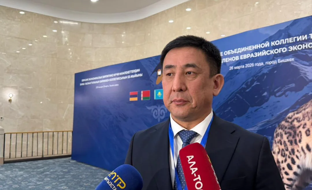 WhatsApp Image 2026-03-26 at 11.54.39.jpeg