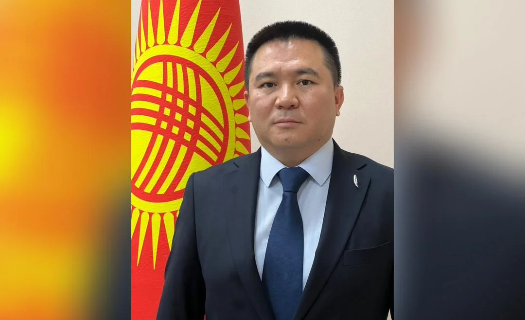 WhatsApp Image 2026-04-08 at 15.24.21.jpeg