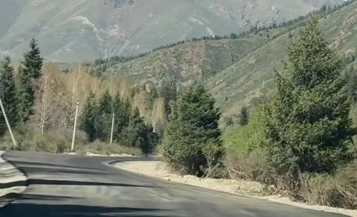 WhatsApp Image 2026-04-26 at 20.21.26.jpeg