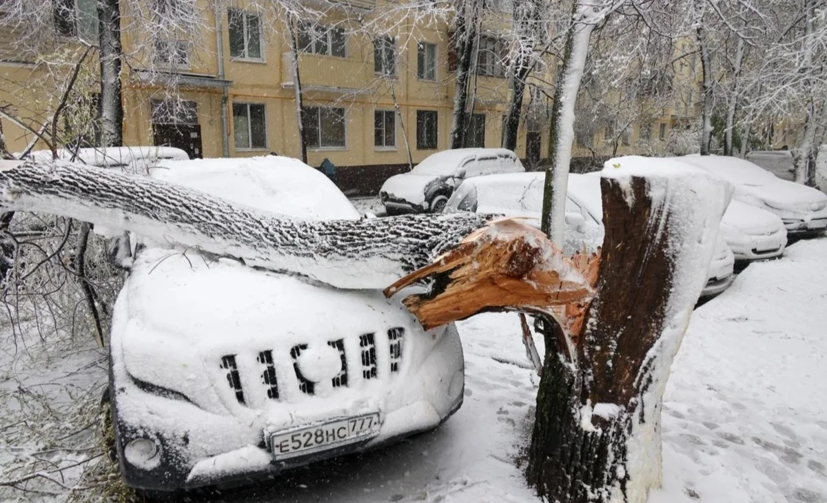 WhatsApp Image 2026-04-26 at 23.30.46.jpeg