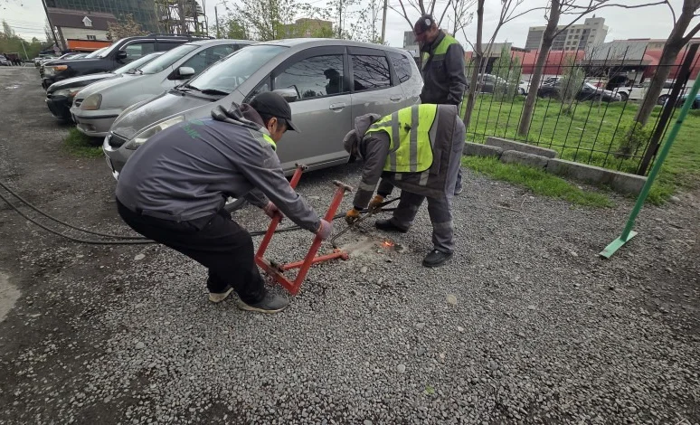 WhatsApp Image 2026-04-10 at 13.22.41.jpeg