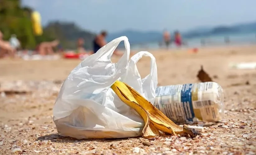 WhatsApp Image 2026-03-12 at 09.30.58.jpeg