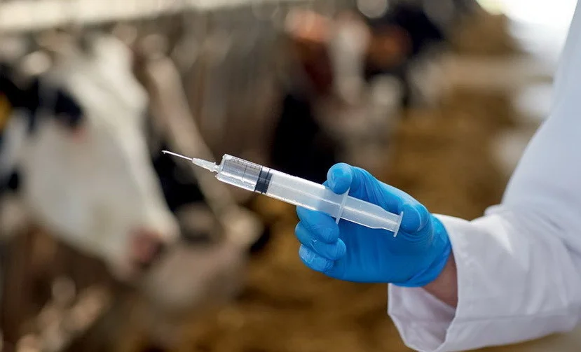 WhatsApp Image 2026-01-12 at 13.34.54.jpeg