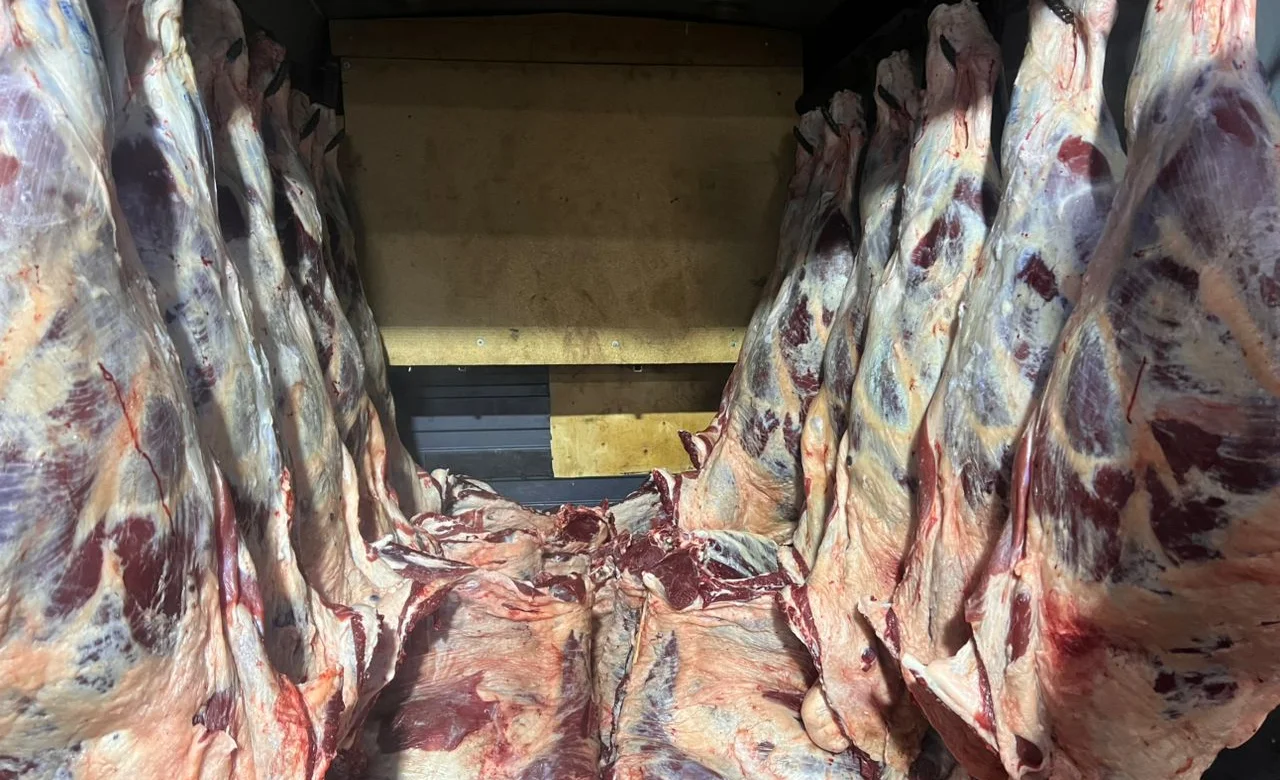 WhatsApp Image 2026-01-15 at 09.16.35 (1).jpeg