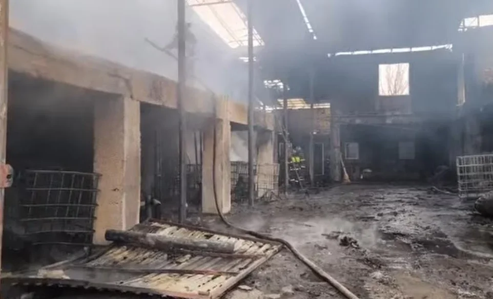 WhatsApp_Image_2026_UIG6UQK.2e16d0ba.format-webp.fill-1668x1014 (1).webp