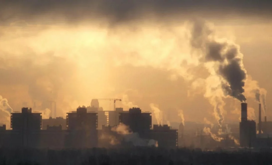 WhatsApp Image 2026-04-06 at 13.26.54.jpeg